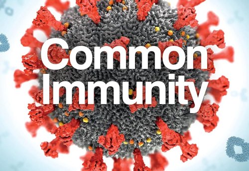 Common Immunity Biopolitics in the Age of the Pandemic