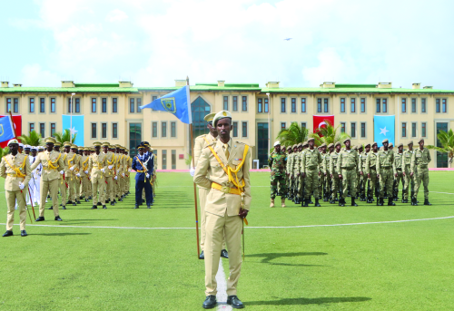 Türkiye s Security Policy in Sub-Saharan Africa A Constructivist Analysis